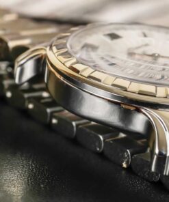 Emile Chouriet 08.1156G6P6.25.6 13 file2460 2 2