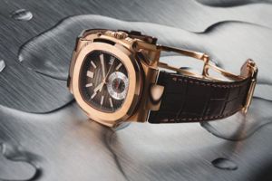 rise of patek philippes nautilus 4