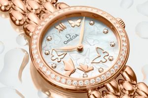 maxresdefault 17 e1500394215883