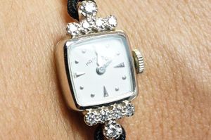 w 01554.2l e1499158457670