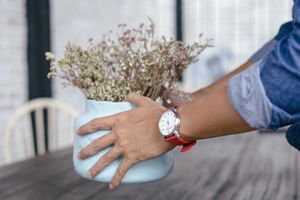 Wenger Avenue - Người đồng hành trên Đại lộ Danh vọng