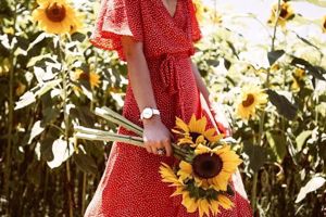 dong ho wenger 15 e1506328467914