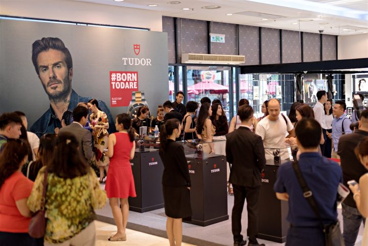 Tudor Pop-up