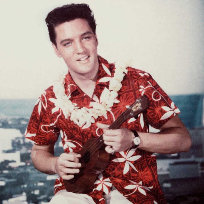 03 elvis the king 800x800 e1508141918614