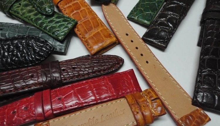 đặc điểm của dây da đồng hồ cá sấu