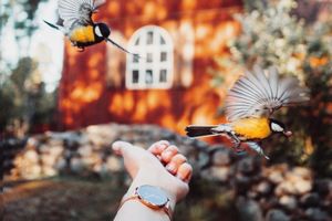 dong ho nu dep chinh hang