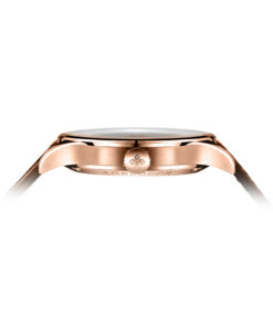 Đồng Hồ Nam Agelocer Bosch 5402D2