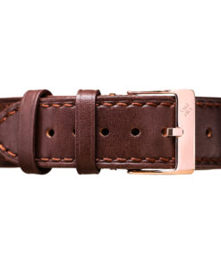 Đồng Hồ Nam Agelocer Budapest 4101D2 14 05 6