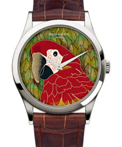 Đồng hồ Patek Philippe 5077P-080 - Calatrava MacawĐồng hồ Patek Philippe 5077P-080 - Calatrava Macaw